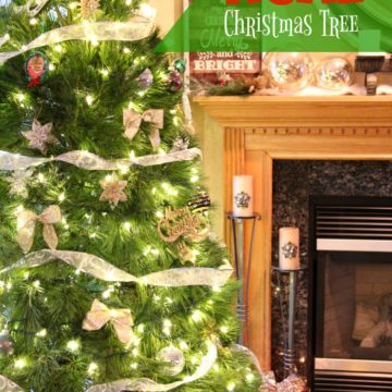 Caring for Your Real Christmas Tree - Tips on caring for a natural Christmas tree so it lasts all season long!