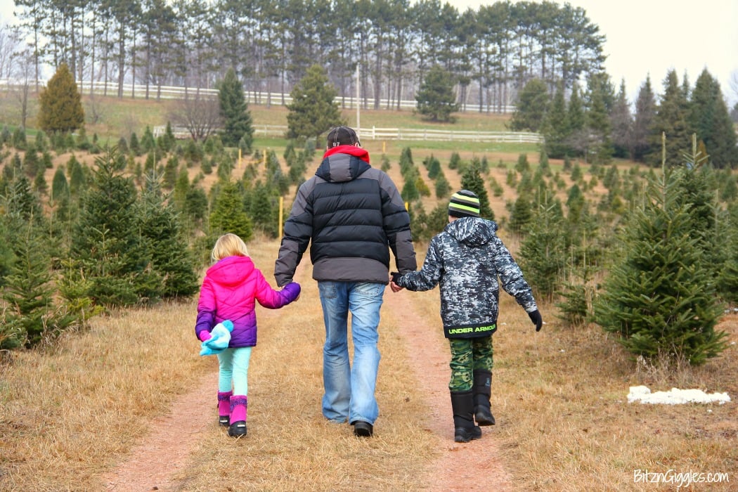 Caring For Your Real Christmas Tree - Bitz & Giggles