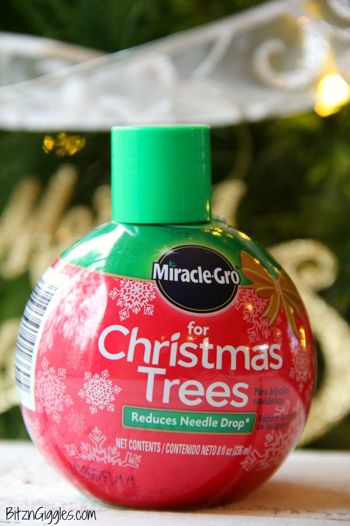 Caring for Your Real Christmas Tree - Tips on caring for a natural Christmas tree so it lasts all season long!