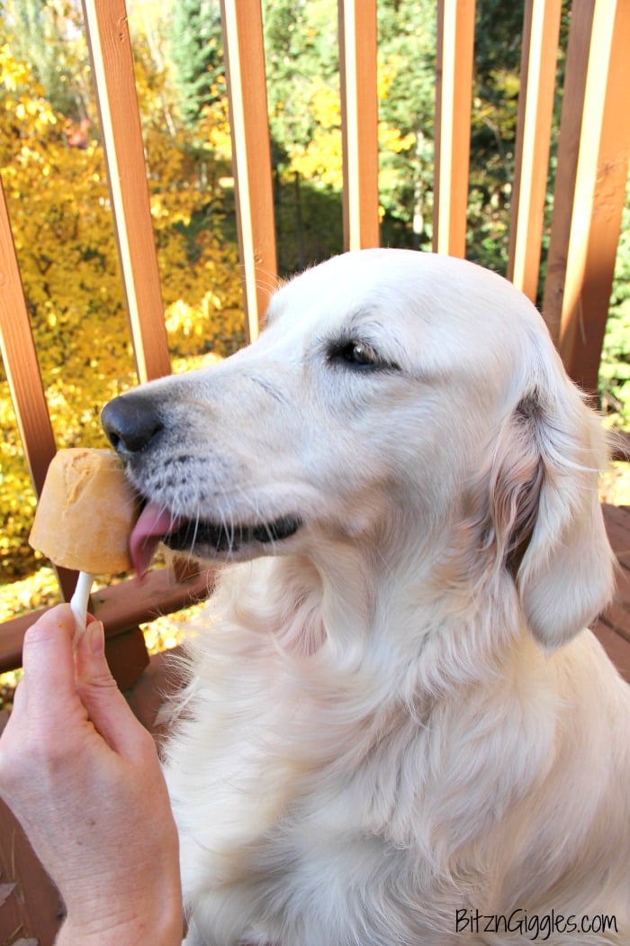 Pumpkin Pup Pops - These fun dog treats are made with only four ingredients! Your pup will love the peanut butter and pumpkin combination!