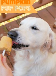 Pumpkin Pup Pops - These fun dog treats are made with only four ingredients! Your pup will love the peanut butter and pumpkin combination!