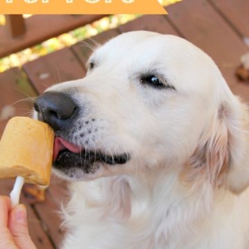 Pumpkin Pup Pops - These fun dog treats are made with only four ingredients! Your pup will love the peanut butter and pumpkin combination!