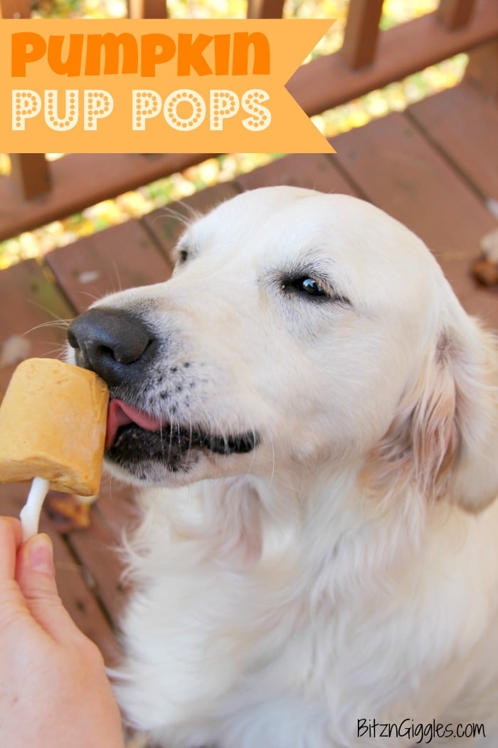 Peanut Butter Swirl Dog Popsicles • Daisybeet