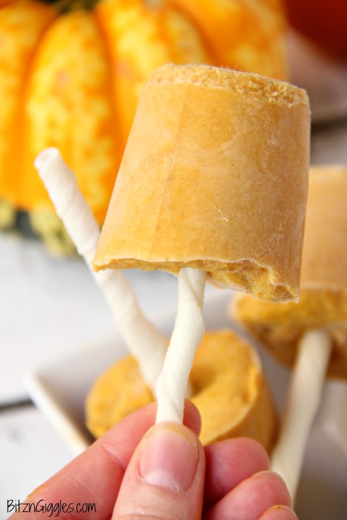 Peanut Butter Swirl Dog Popsicles • Daisybeet