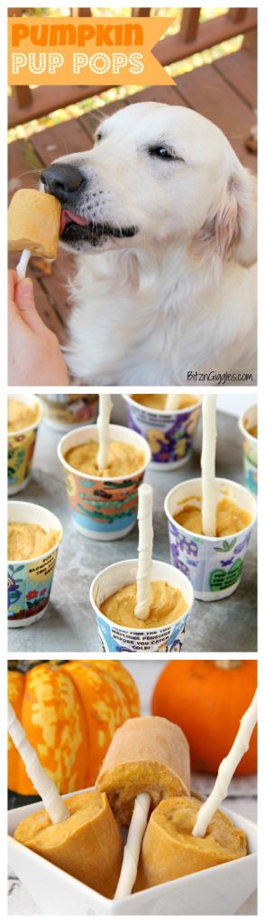 Pumpkin Pup Pops - These fun dog treats are made with only four ingredients! Your pup will love the peanut butter and pumpkin combination!