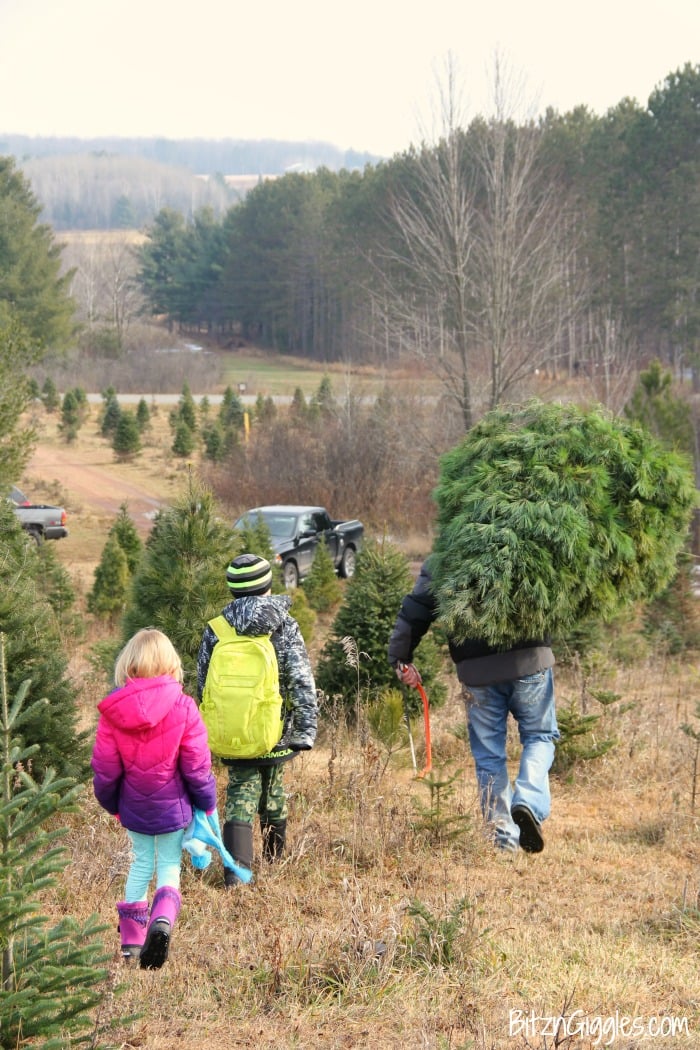 Caring for a Real Christmas Tree - Tips on caring for a natural Christmas tree so it lasts all season long!