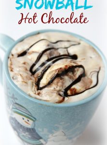 Snowball Hot Chocolate - Creamy and rich white chocolate topped off with a scoop of ice cream and garnished with chocolate.