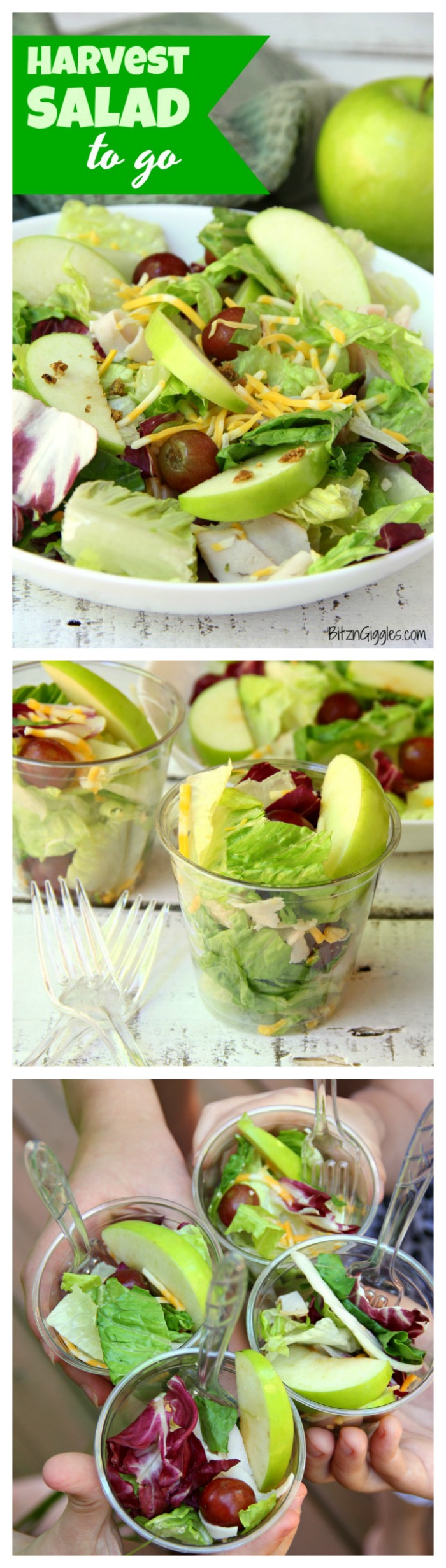 Harvest Salad to Go - A delicious combination of granny smith apples, grapes, cheese, bacon bits and more make this a perfect addition to any party menu! Serve in cups for easy and convenient eating!