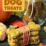 Pumpkin Oatmeal Dog Treats - Pumpkin, oatmeal and cozy spices make this the perfect fall treat for your dog!