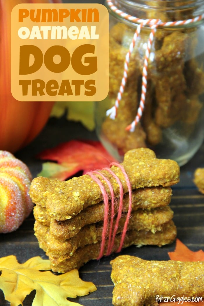 Pumpkin Oatmeal Dog Treats - Pumpkin, oatmeal and cozy spices make this the perfect fall treat for your dog!