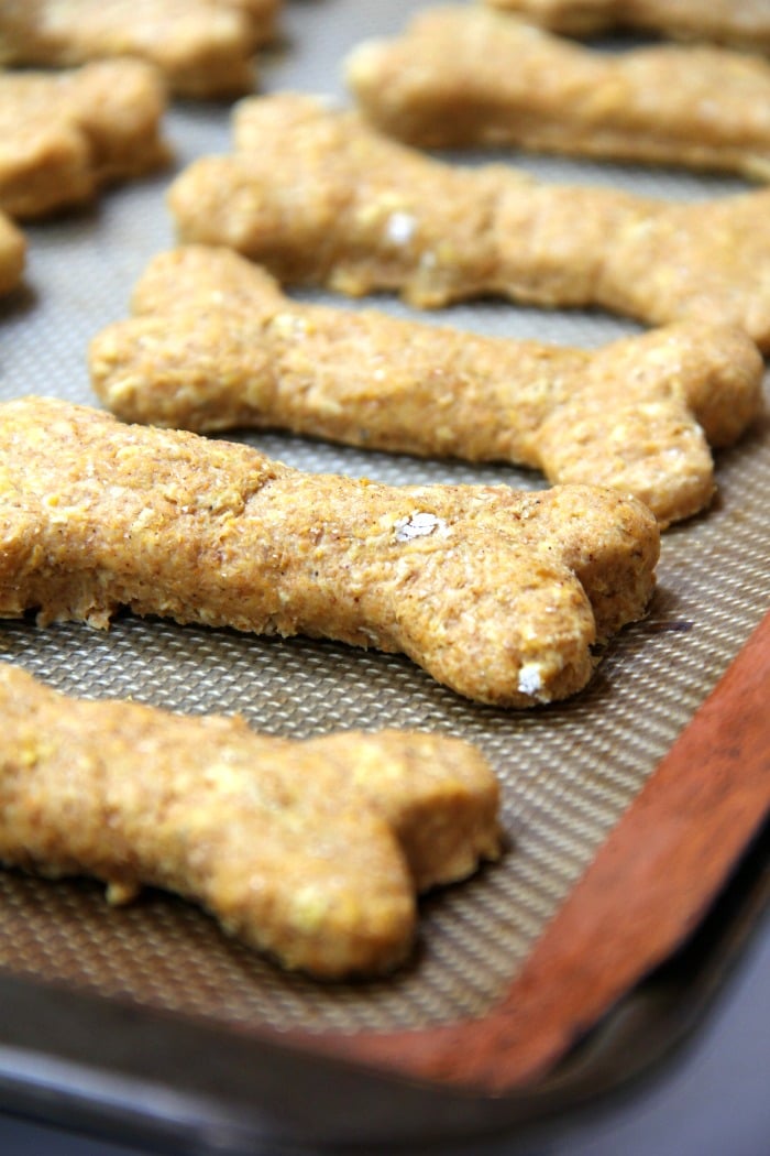 pumpkin and oats dog treats