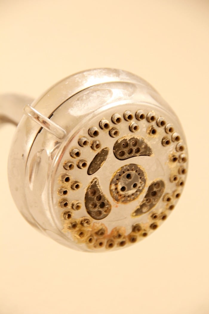 How to Clean a Shower Head - If you have a gross and grimy shower head, this simple homemade solution is sure to make it look like new again!