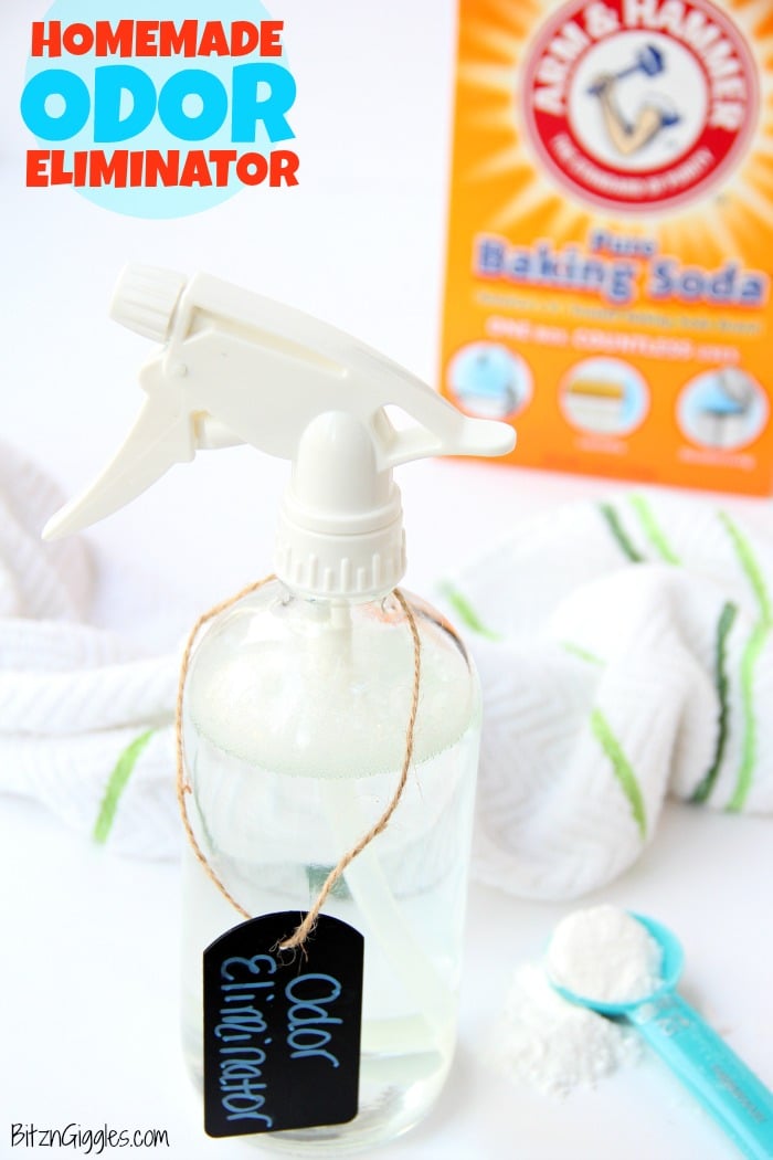 Homemade pee shop stain remover