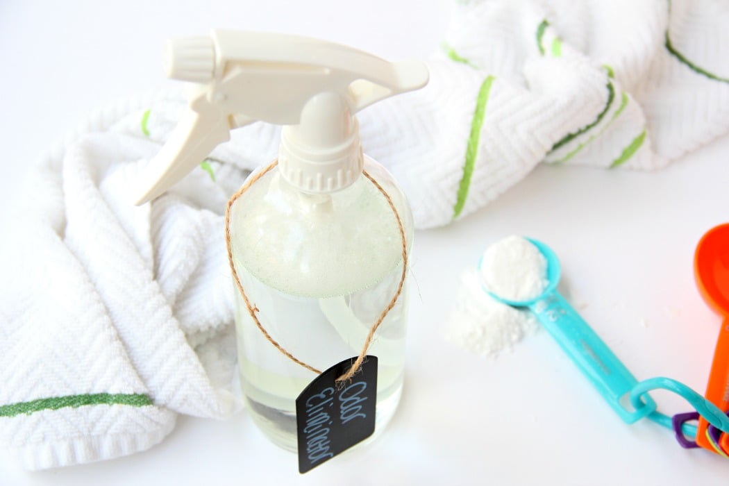 Homemade Odor Eliminator - This DIY odor eliminator is a lifesaver! Removes urine, pet and vomit odors from carpet, stuffed animals, clothing and more!