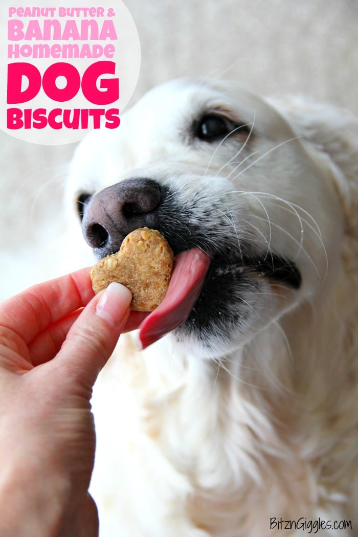 Peanut Butter and Banana Homemade Dog Biscuits - Five-ingredient chewy dog biscuits made with peanut butter, oats and banana. Your dog will love these!