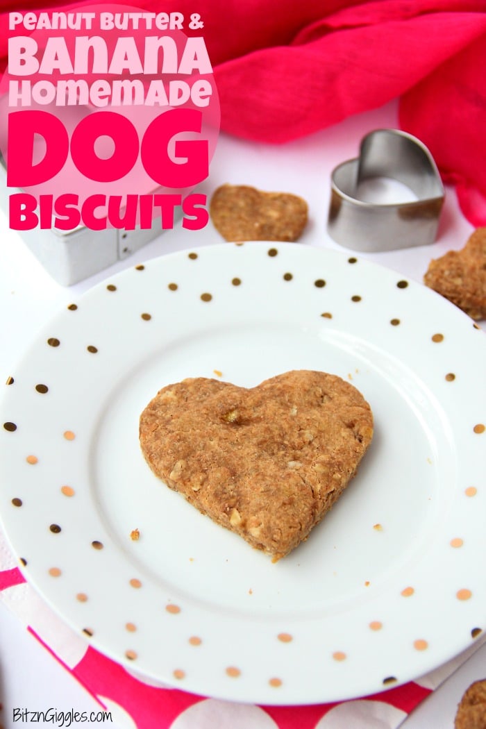 Peanut Butter and Banana Homemade Dog Biscuits - Five-ingredient chewy dog biscuits made with peanut butter, oats and banana. Your dog will love these!