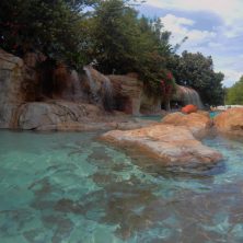 Planning a Trip to Discovery Cove in Orlando - A comprehensive guide on Discovery Cove, with tips for ensuring your family has the best day ever!