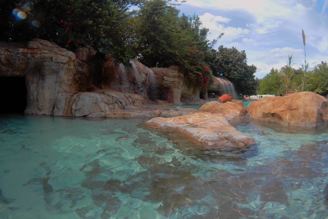 Discovery Cove Pictures