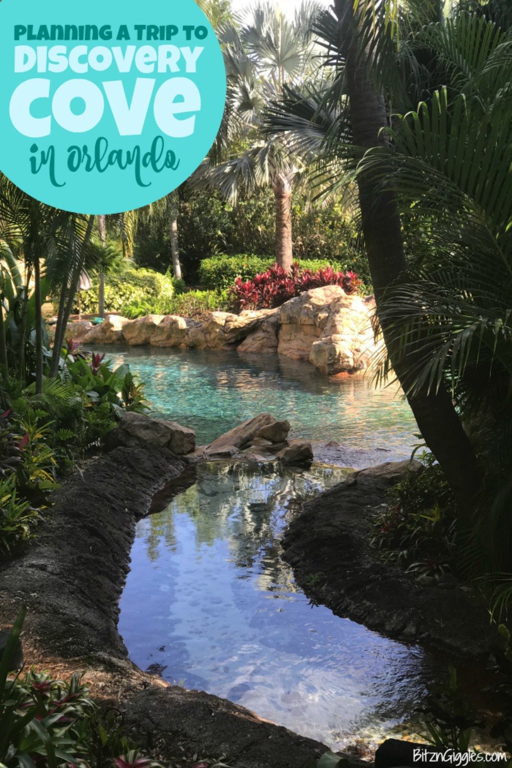 Planning a Trip to Discovery Cove in Orlando - A comprehensive guide on Discovery Cove, with tips for ensuring your family has the best day ever!