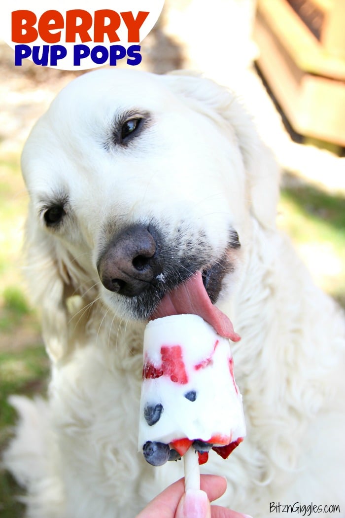 Mixed Berry Popsicles For Dogs (Pupsicles) - Spoiled Hounds