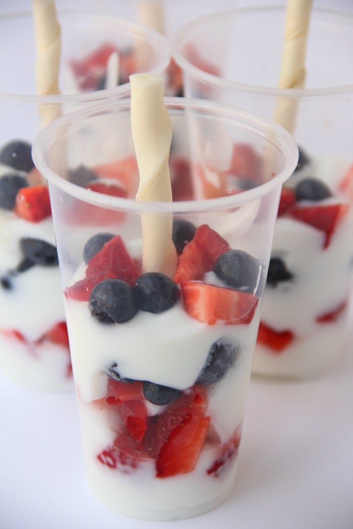 Berry Pup Pops - A three-ingredient, healthy, frozen treat for your dog, made with fresh berries and yogurt.