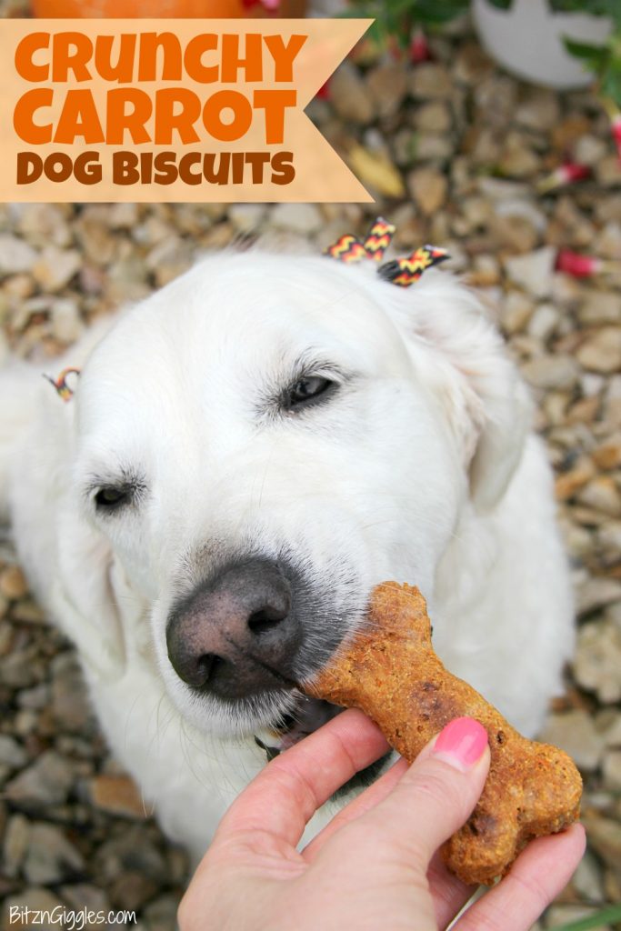 Crunchy Carrot Dog Biscuits - Flavorful, crunchy homemade dog biscuits naturally sweetened with carrots and applesauce.