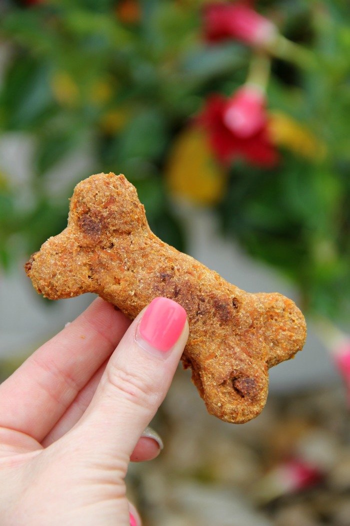 Crunchy Carrot Dog Biscuits - Flavorful, crunchy homemade dog biscuits naturally sweetened with carrots and applesauce. 