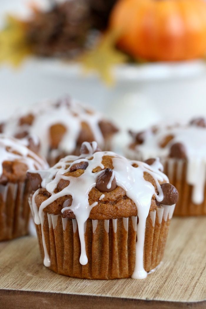 Pumpkin Chocolate Chip Muffins - Homemade pumpkin muffins sprinkled with fall spices and lots of chocolate chips!