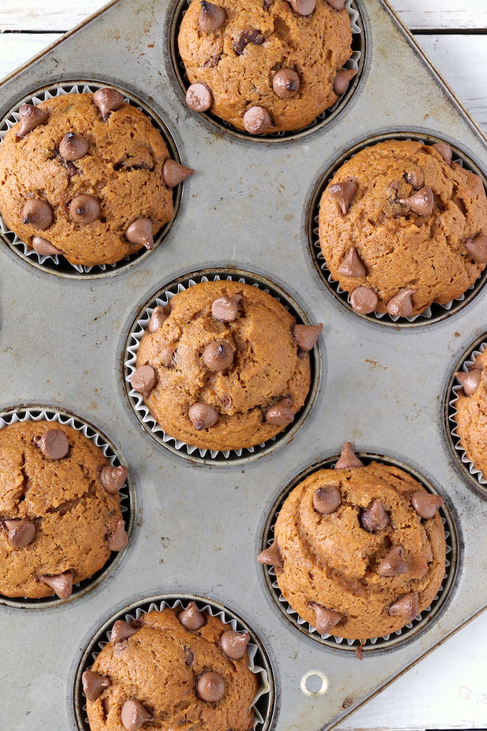 Pumpkin Chocolate Chip Muffins - Homemade pumpkin muffins sprinkled with fall spices and lots of chocolate chips!