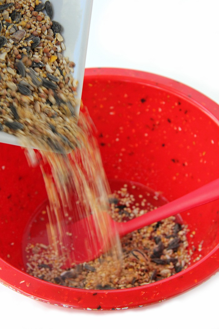 Adding birdseed to a bowl