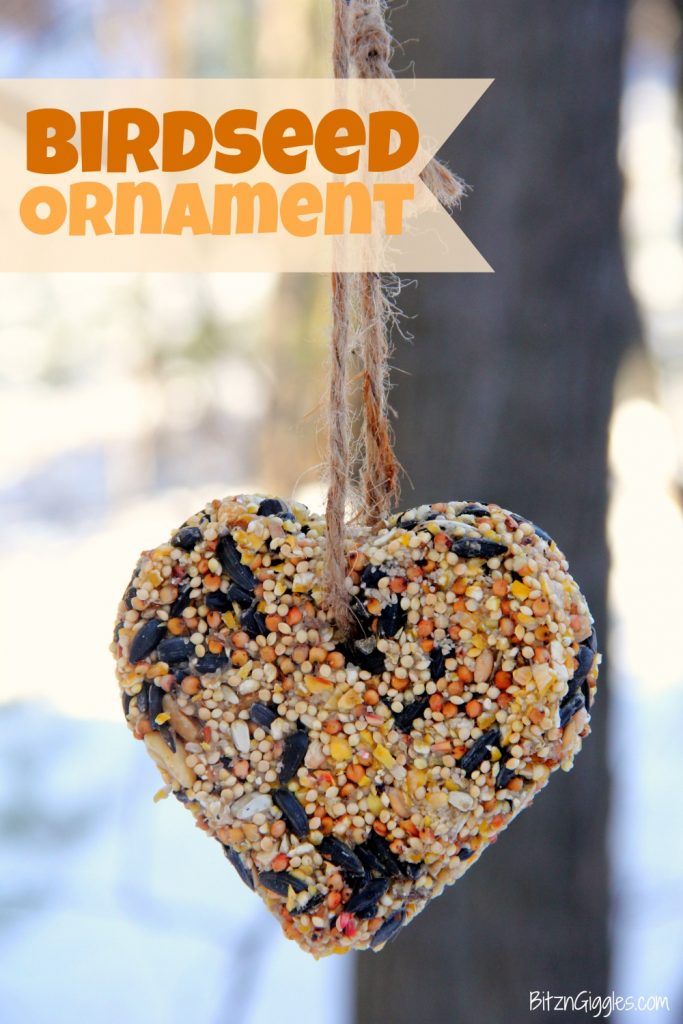 Birdseed ornament hanging from a tree