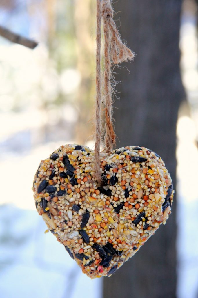 Birdseed Ornaments - Bitz & Giggles