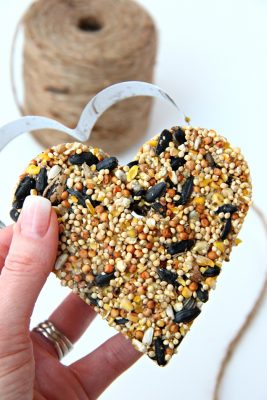 holding birdseed ornament with cookie cutter