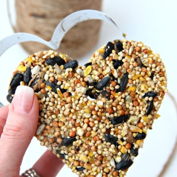 holding birdseed ornament with cookie cutter