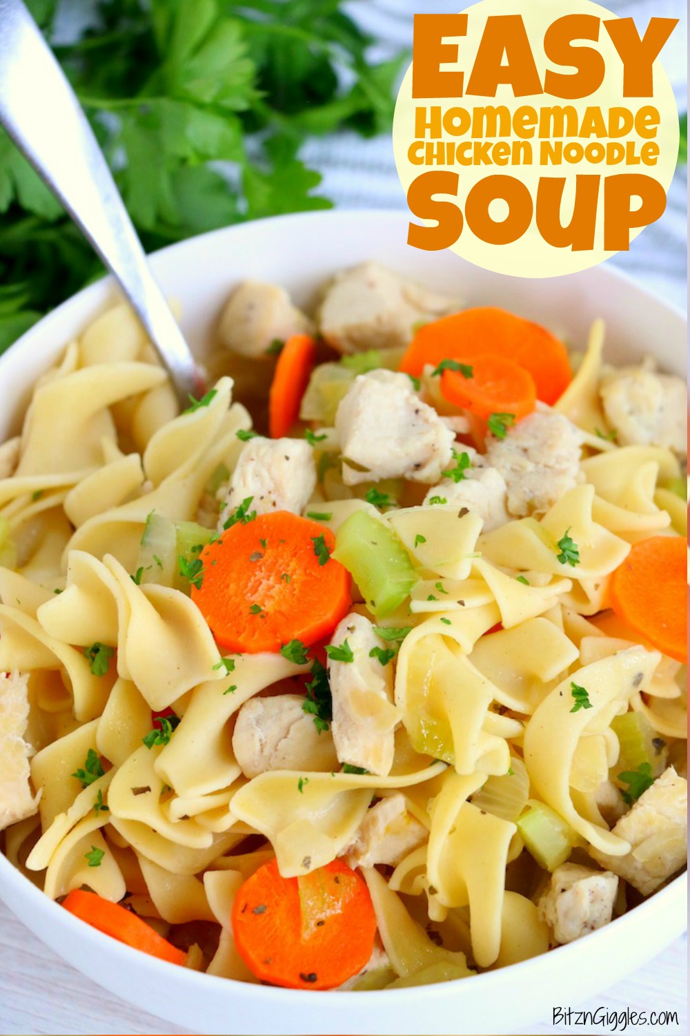 chicken noodle soup in white bowl with spoon