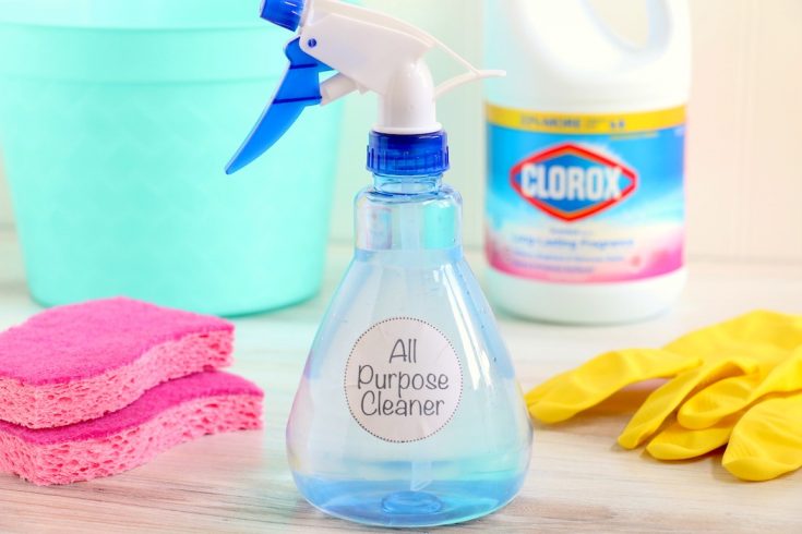 Homemade all purpose cleaner with sponges and gloves