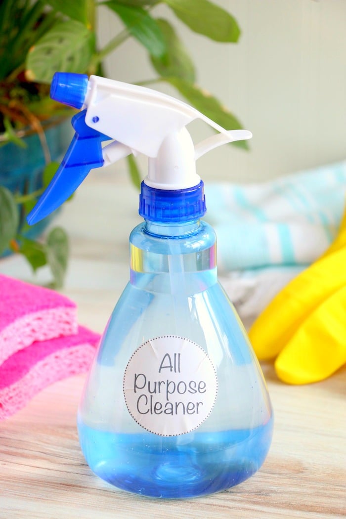 Bottle of all purpose cleaner with cleaning sponges and gloves in background