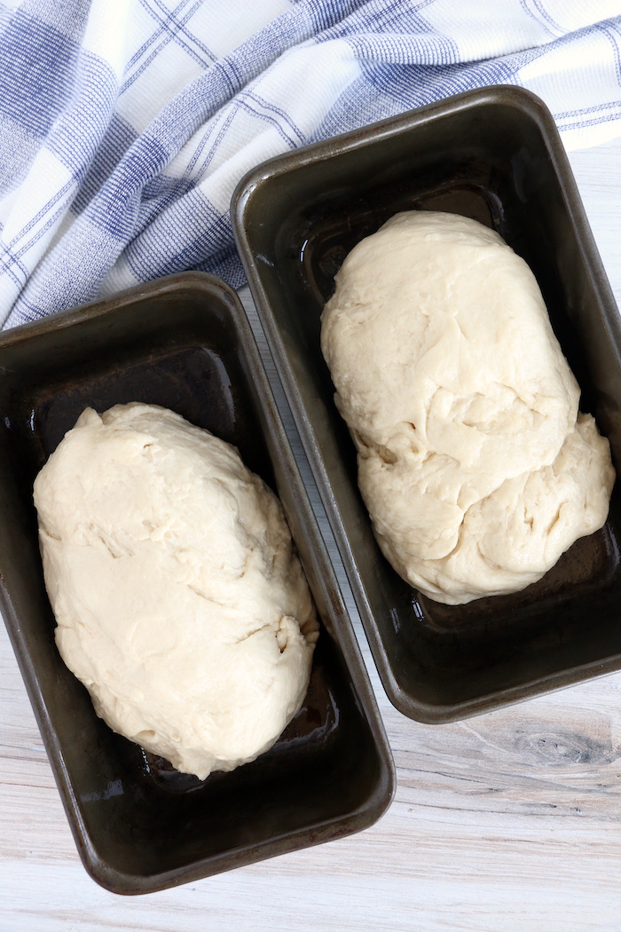 Bread dough divided into two different loaf pans
