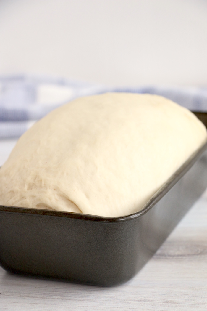 Bread dough rising in loaf pan