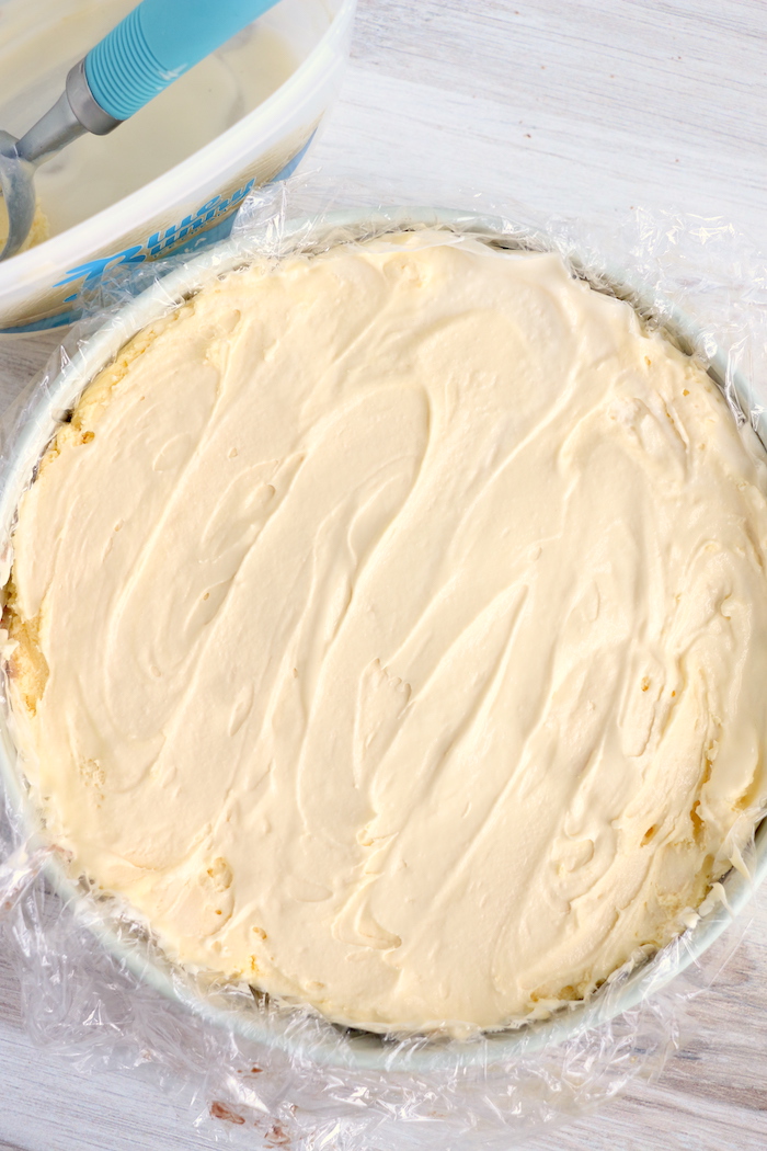 layer of vanilla ice cream on ice cream cake