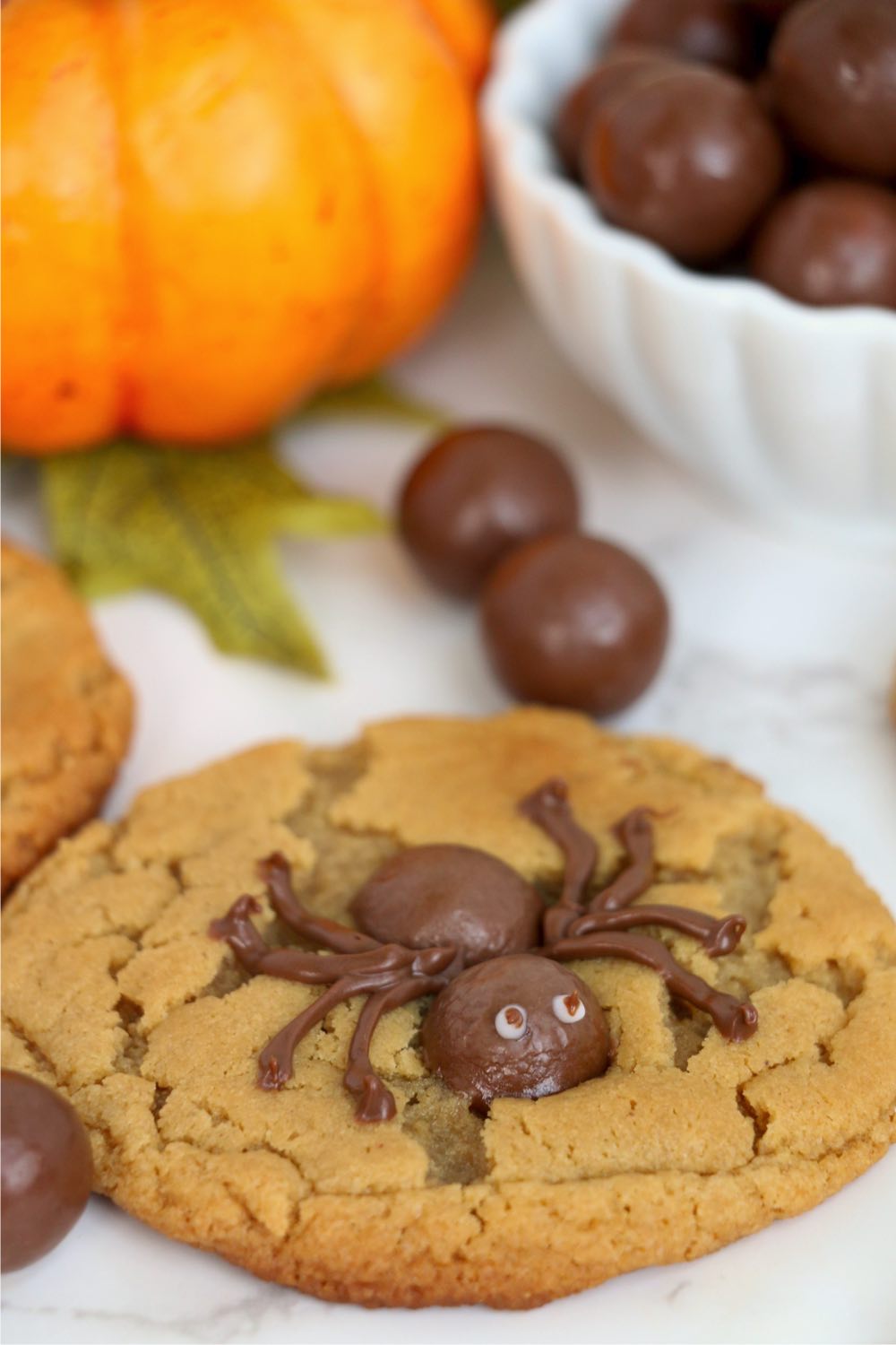 cookies with chocolate spiders