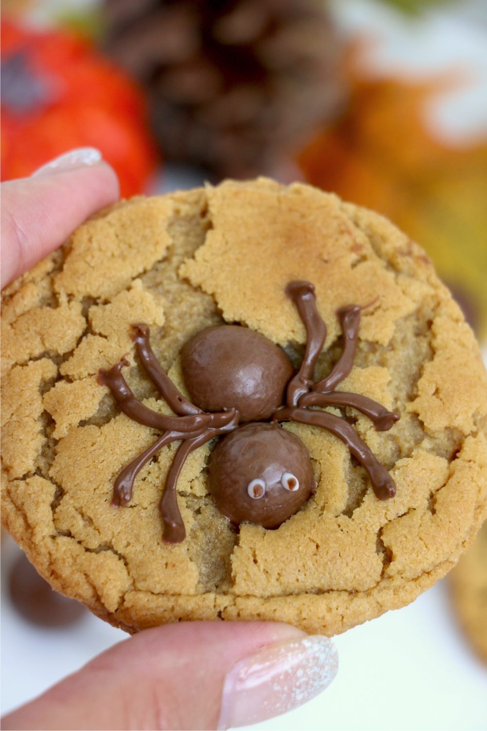 hand holding a Halloween spider cookie