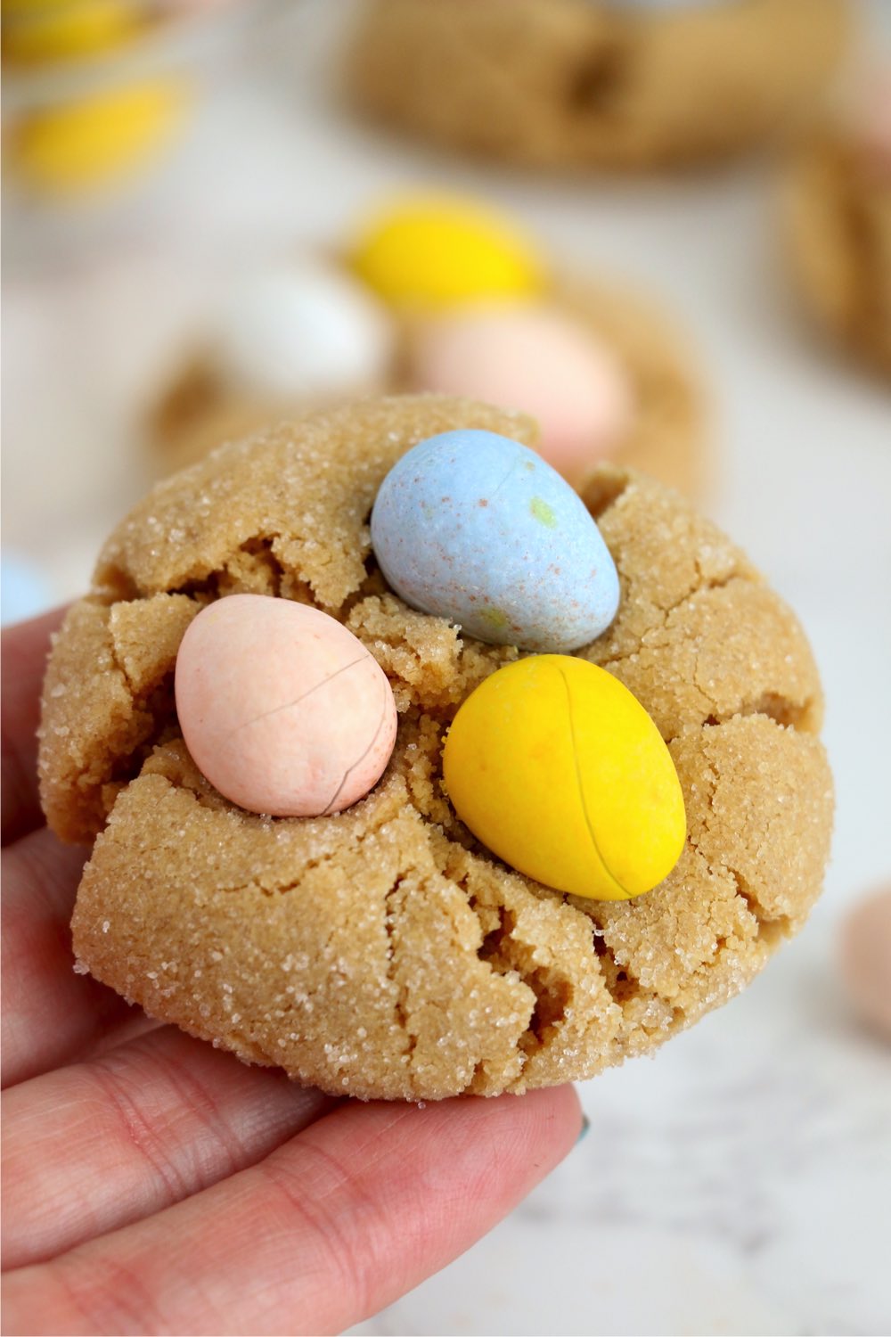 close up shot of Easter cookie