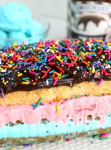 ice cream cake covered in fudge