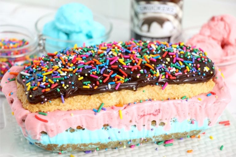 ice cream cake covered in fudge
