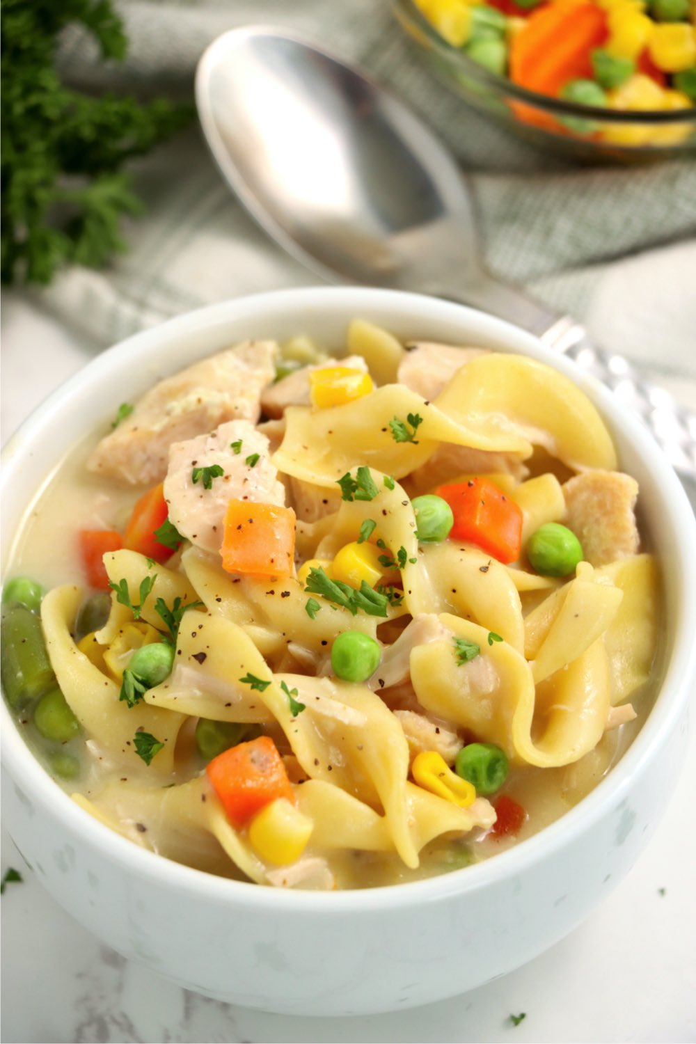 bowl of chicken noodle soup with veggies