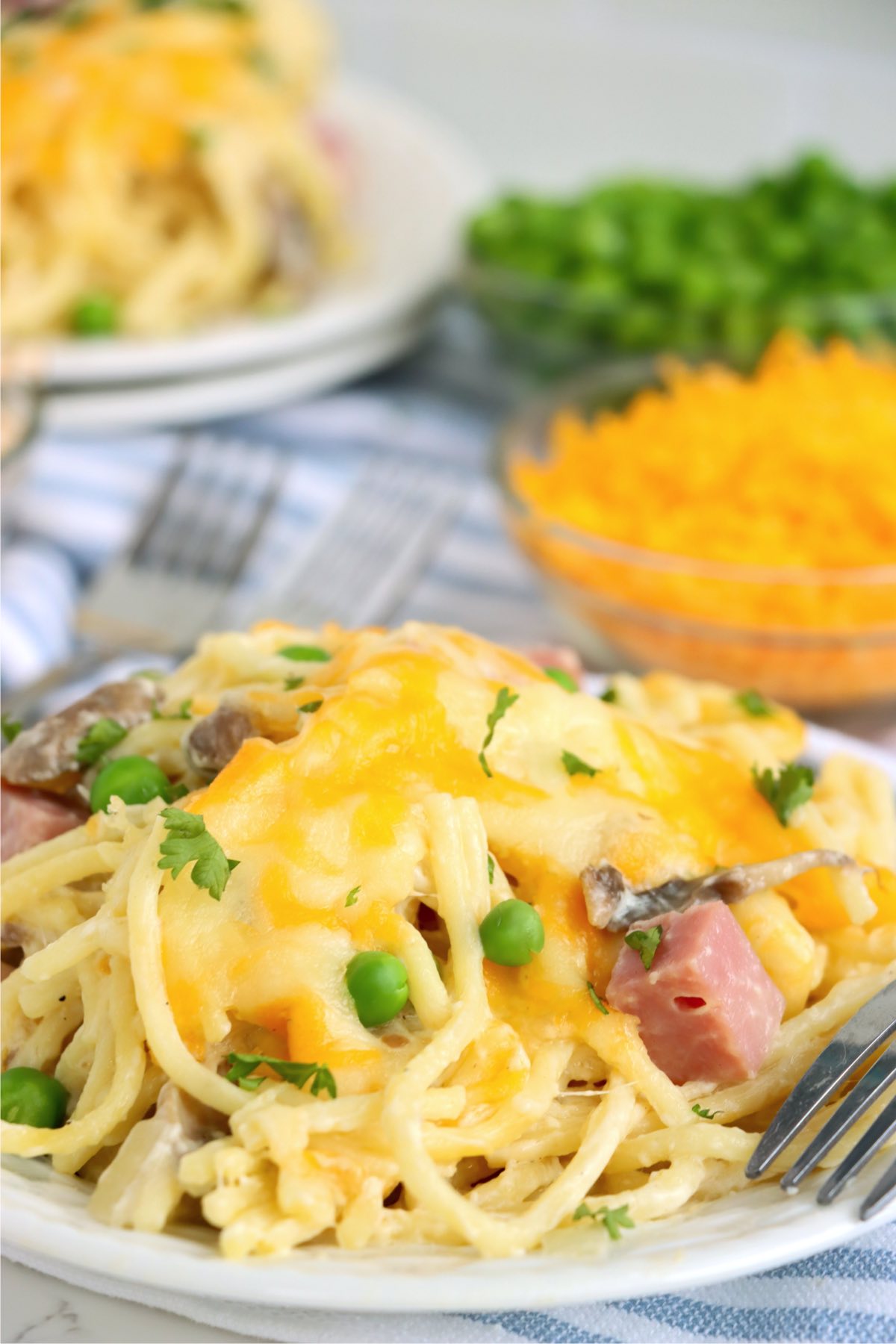 plate of tetrazzini with cheese and ham