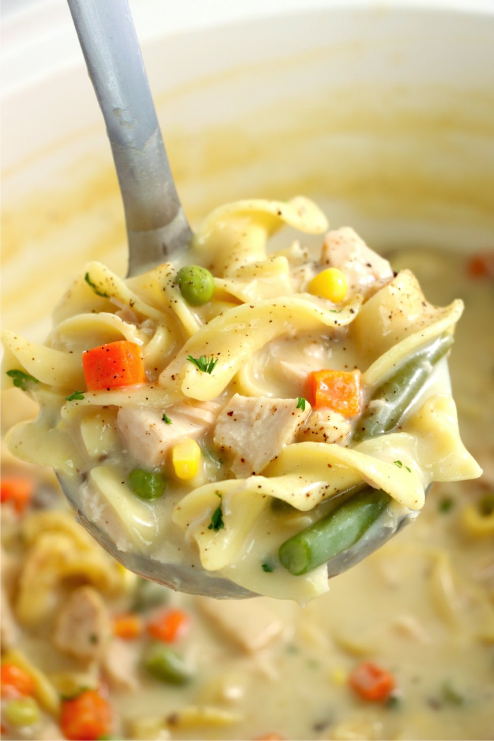ladle filled with creamy chicken noodle soup