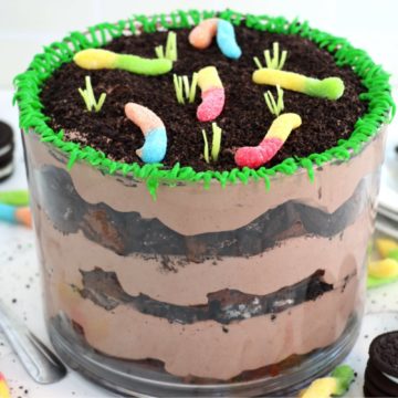 Trifle dessert decorated to look like a dirt cake