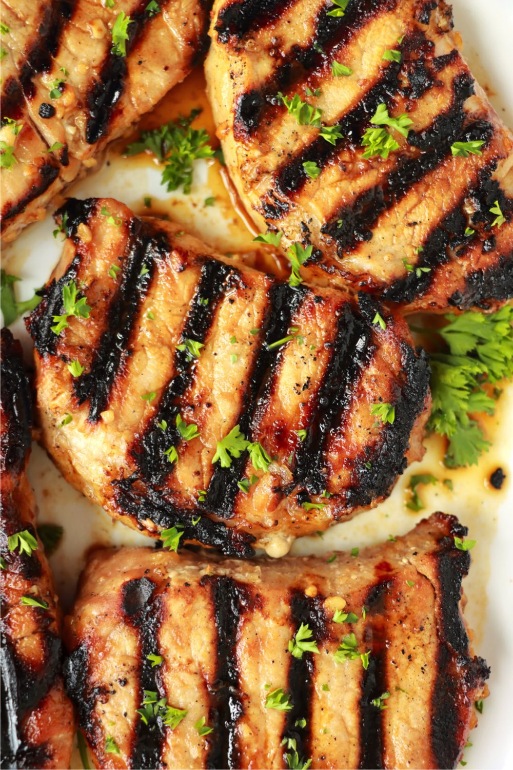 close up of marinated pork chops